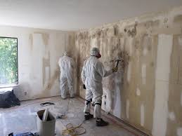 Best Residential Mold Inspection & Testing in Bayard, NE